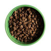 Yora Pet Foods Insect Protein Light Senior Dry Dog Food