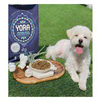 Yora Pet Foods Insect Protein Puppy Dry Dog Food