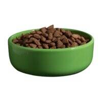 Yora Pet Foods Insect Protein Small Breed Adult Dry Dog Food