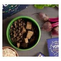 ترجمهٔ عربی:  **طعام يورا بت فودز الرطب للكلاب باتيه الحشرات بالشمندر واللفت المغذي**